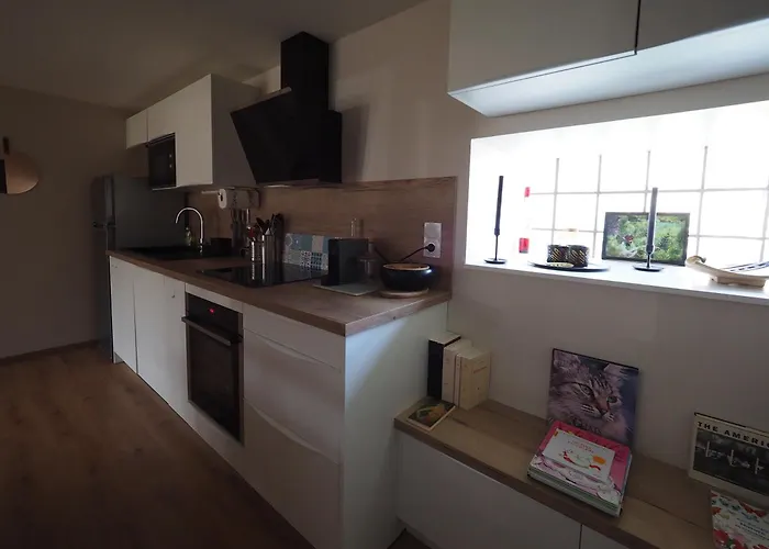 公寓 La Grange Cazeaux-de-Larboust